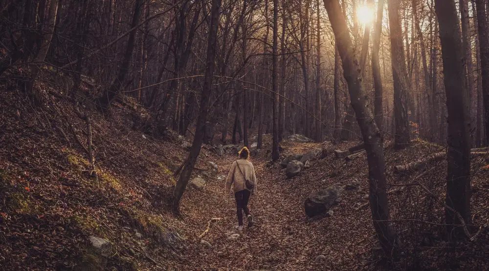 walking in nature mindfulness