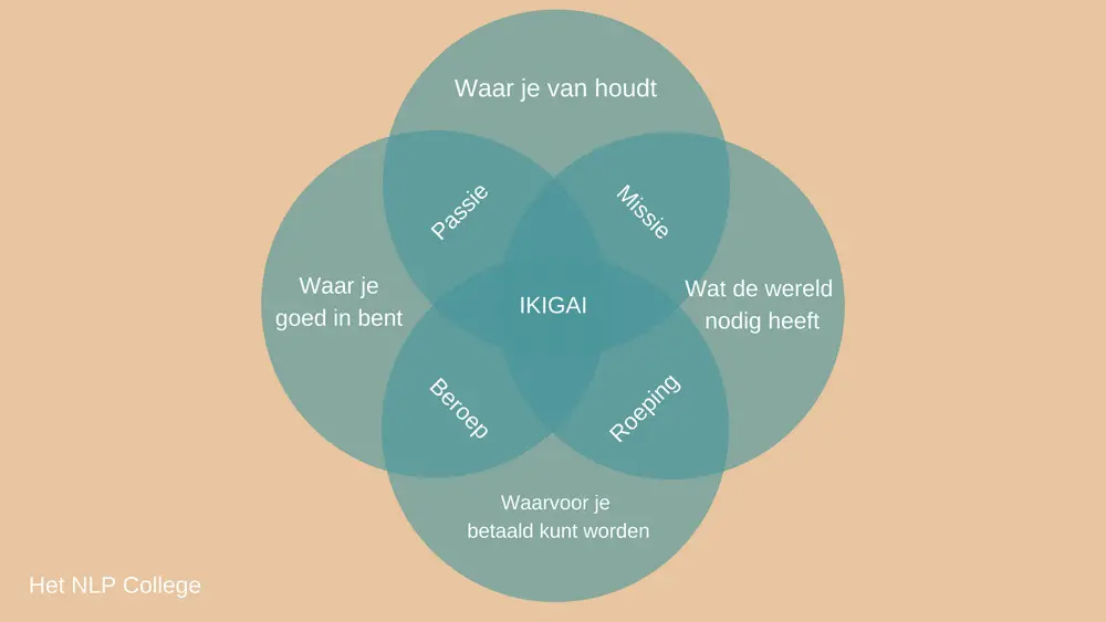 ikigai-schema