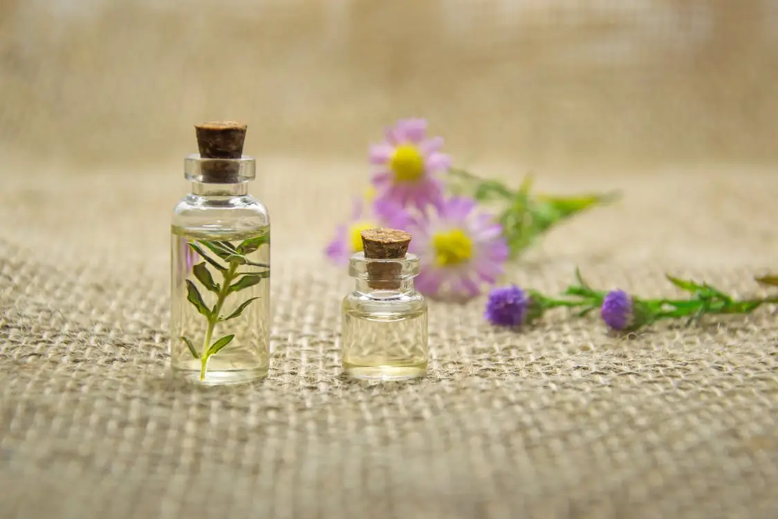 What Is The Best Brand Of Essential Oil? [Buying Guide]